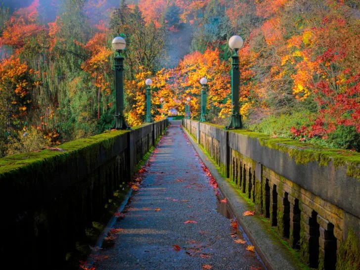 I Give Thanks to&nbsp;You