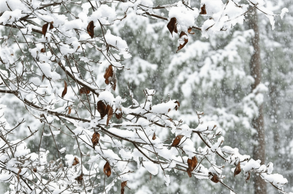 Perspective on the War From the&nbsp;Northshore